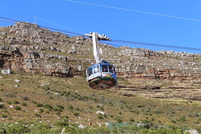 Day 6 – Table Mountain